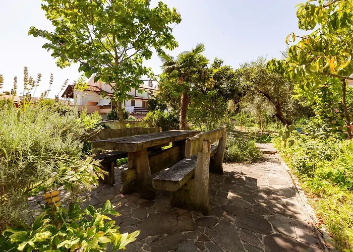 Lemut * بورتوروز