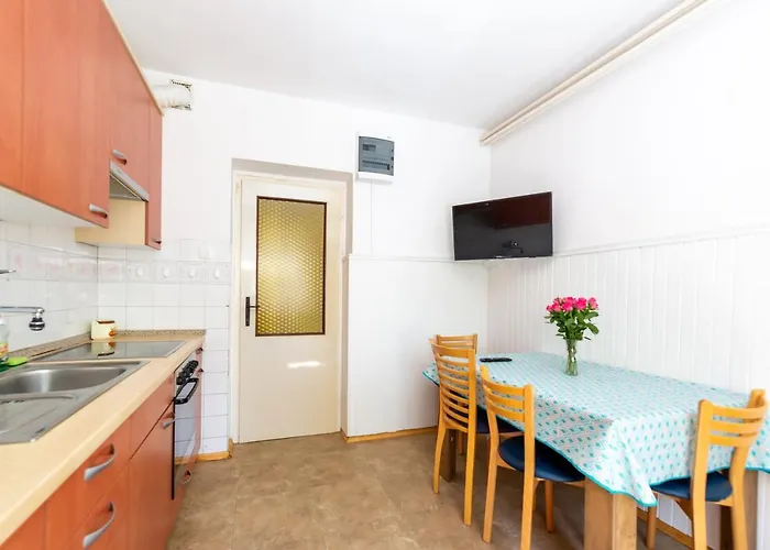 Lemut بورتوروز