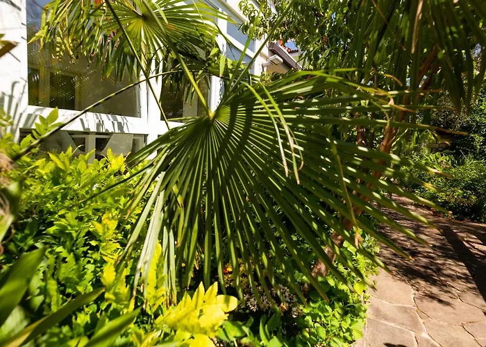 شقة Lemut بورتوروز