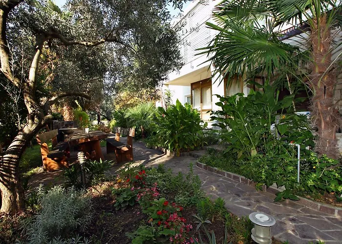 Lemut * بورتوروز